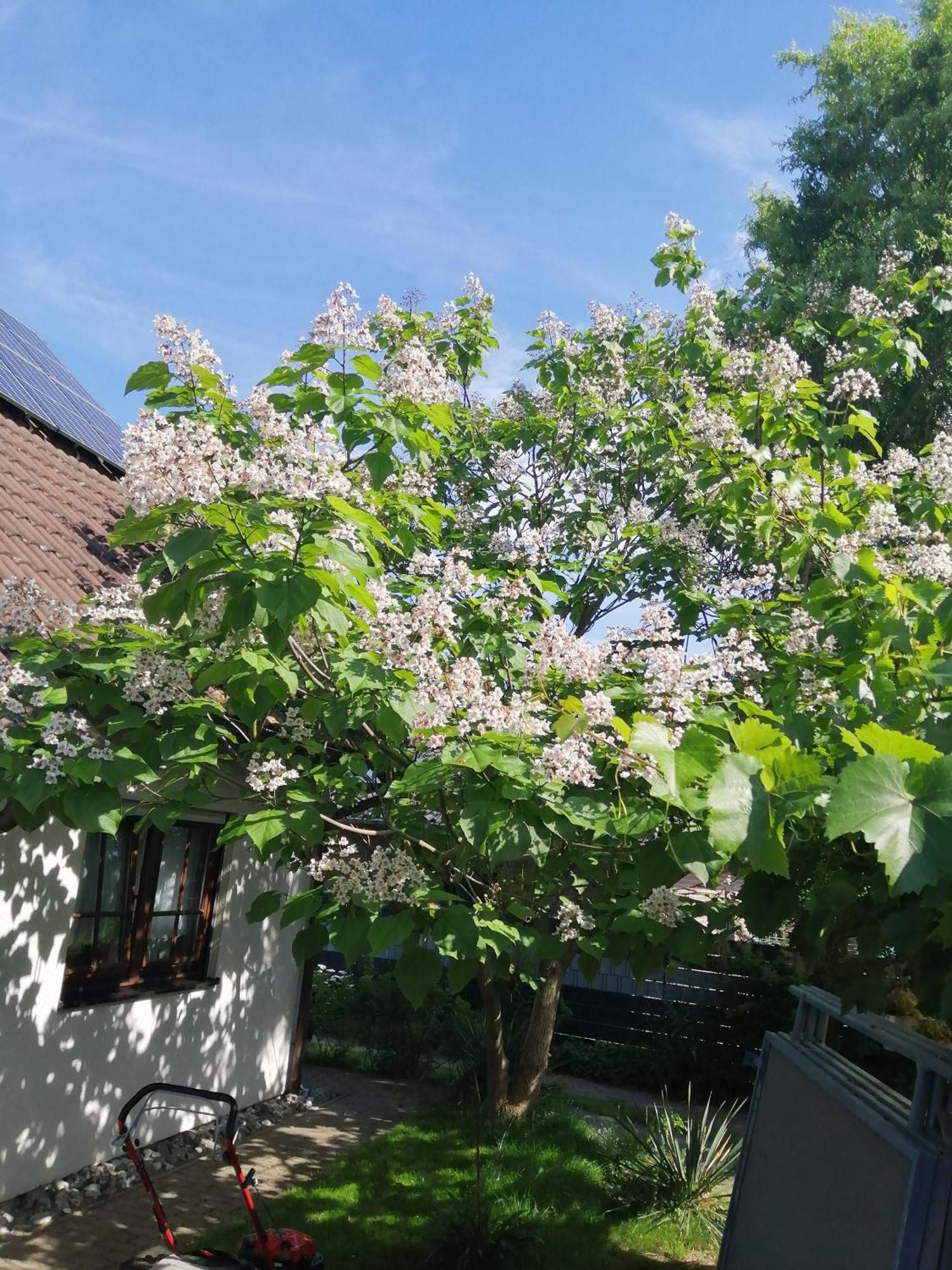 Ferienwohnung Kleine Hedwig Putbus Exterior foto