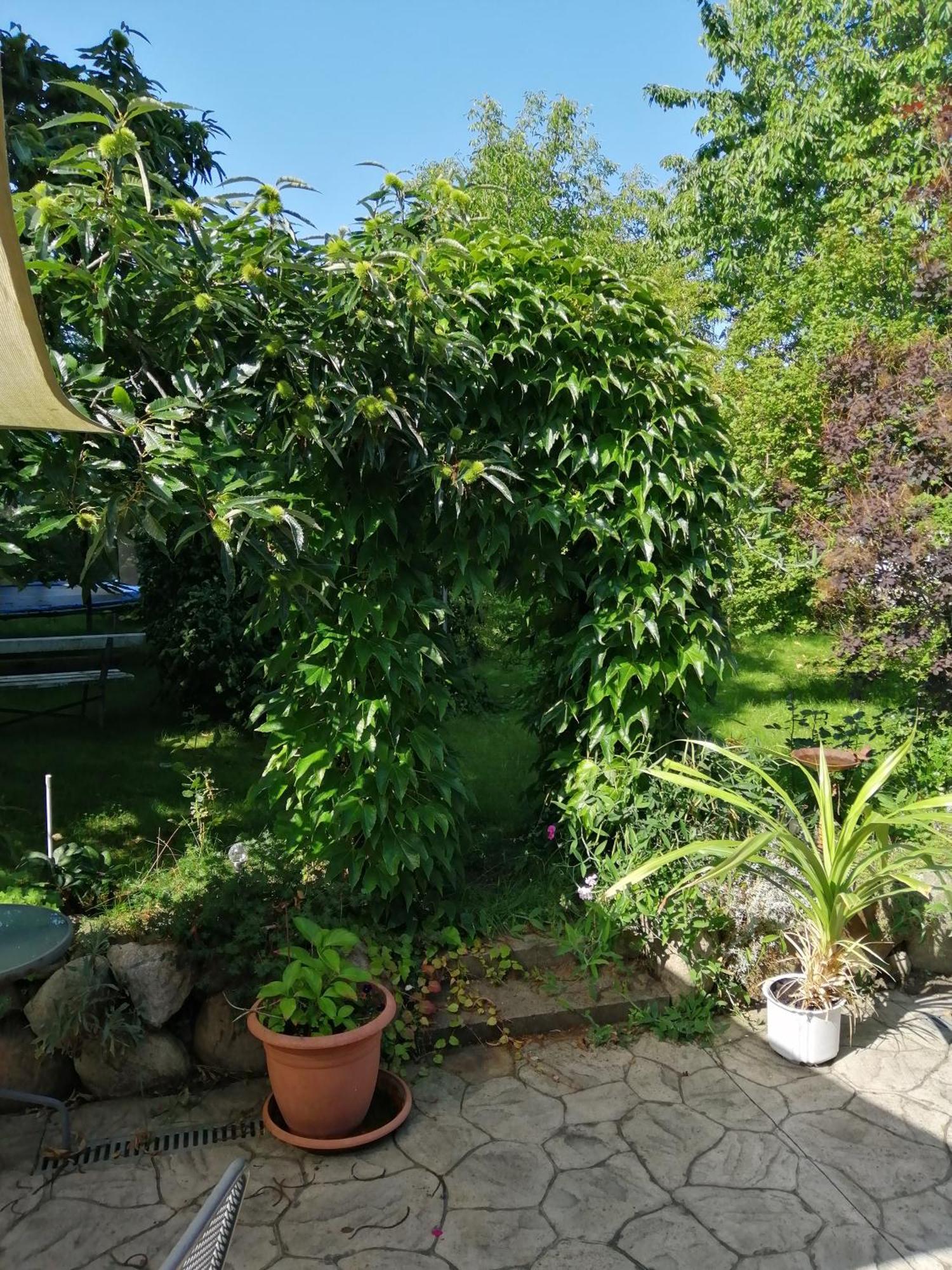 Ferienwohnung Kleine Hedwig Putbus Exterior foto